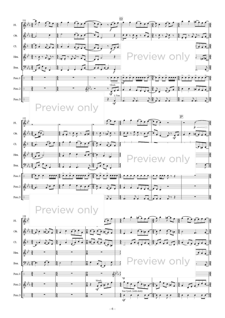 Village of Star Prayer - Woodwind & Percussion Octet Chamber Music scores gallery preview page 7