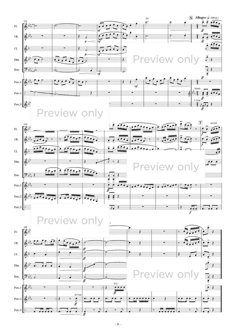 Village of Star Prayer - Woodwind & Percussion Octet Chamber Music scores gallery preview page 9