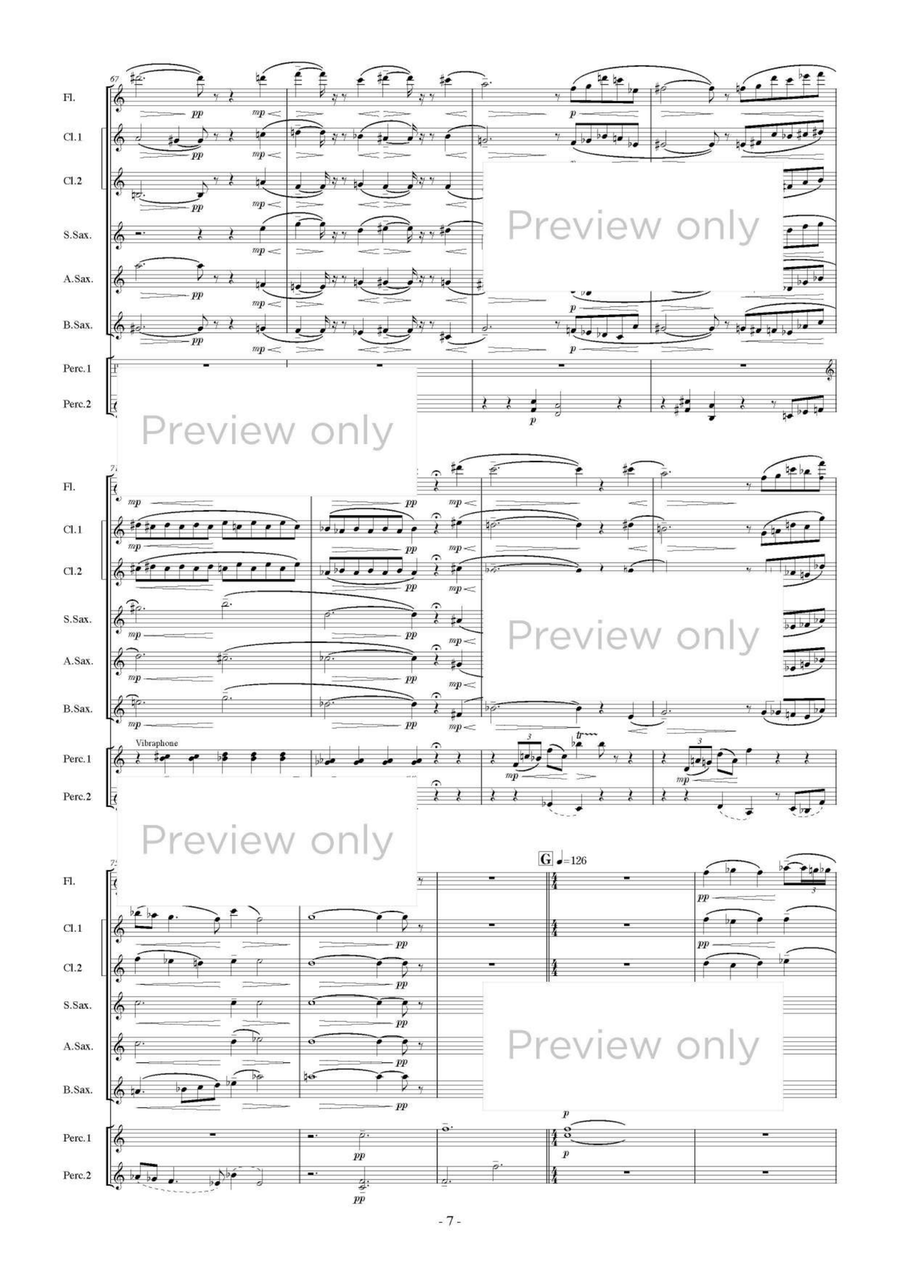 City Girl Sentimentalism - Woodwind & Percussion Octet Chamber Music scores gallery preview page 8