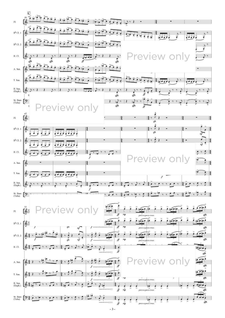 Pater Noster III - Woodwind & String Bass Octet Chamber Music scores gallery preview page 4
