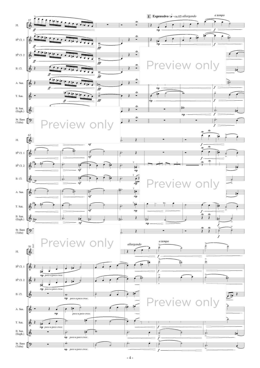 Pater Noster III - Woodwind & String Bass Octet Chamber Music scores gallery preview page 5
