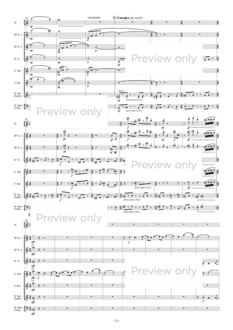 Pater Noster III - Woodwind & String Bass Octet Chamber Music scores gallery preview page 6