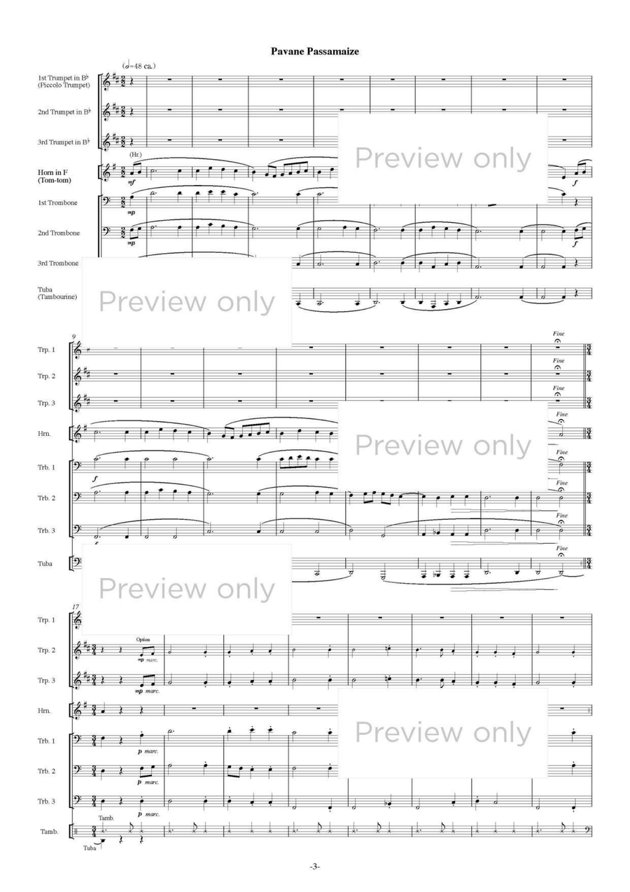 Renaissance Dances - Brass Octet Horn scores gallery preview page 4