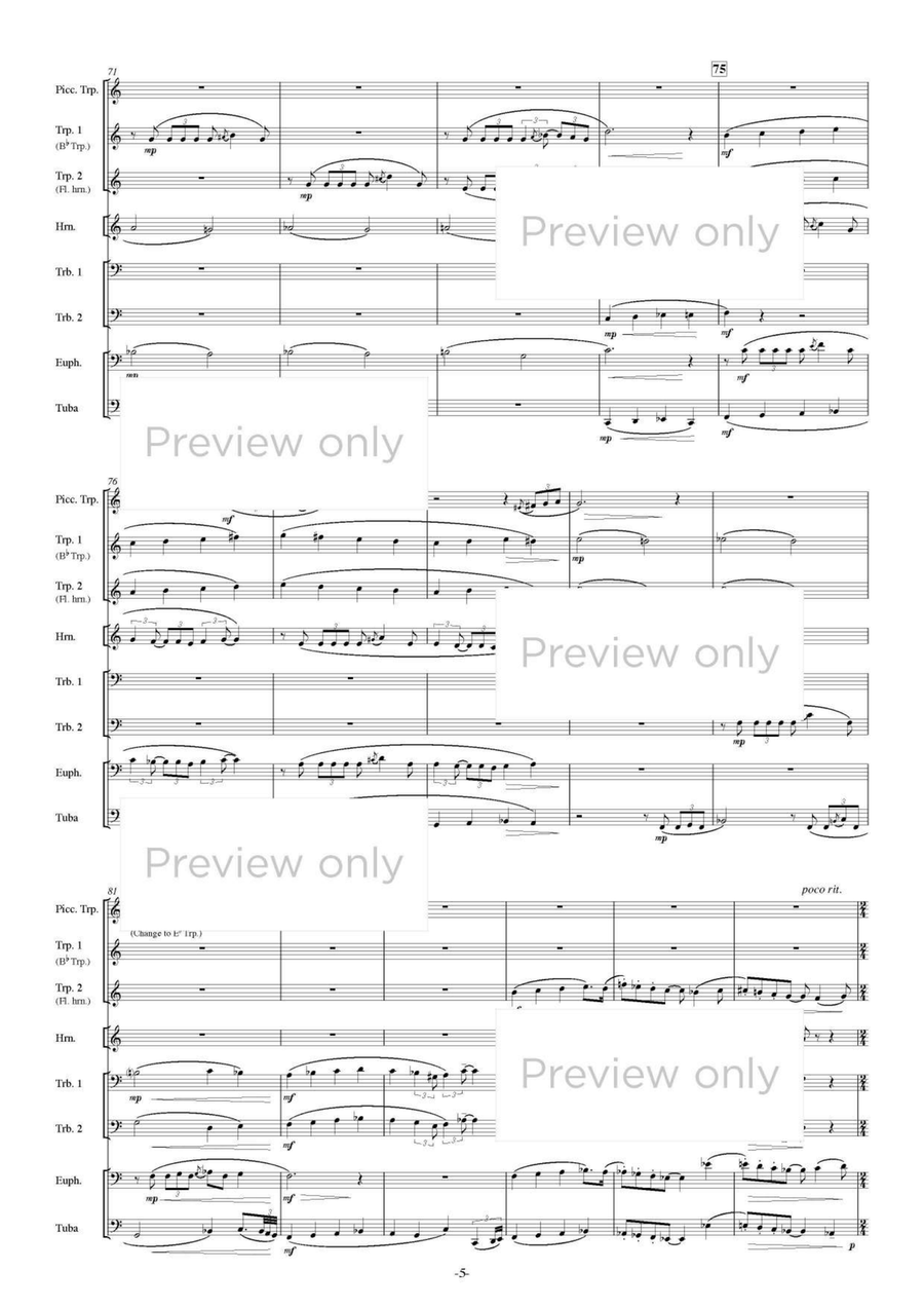 Metropolitan - Brass Octet Euphonium scores gallery preview page 6