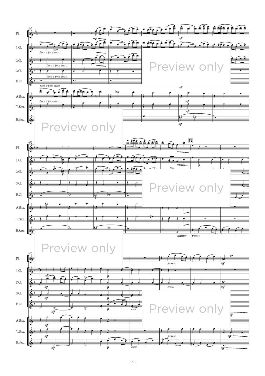 String Quartet No. 2 Mvt. 1 - Woodwind Octet Chamber Music scores gallery preview page 3