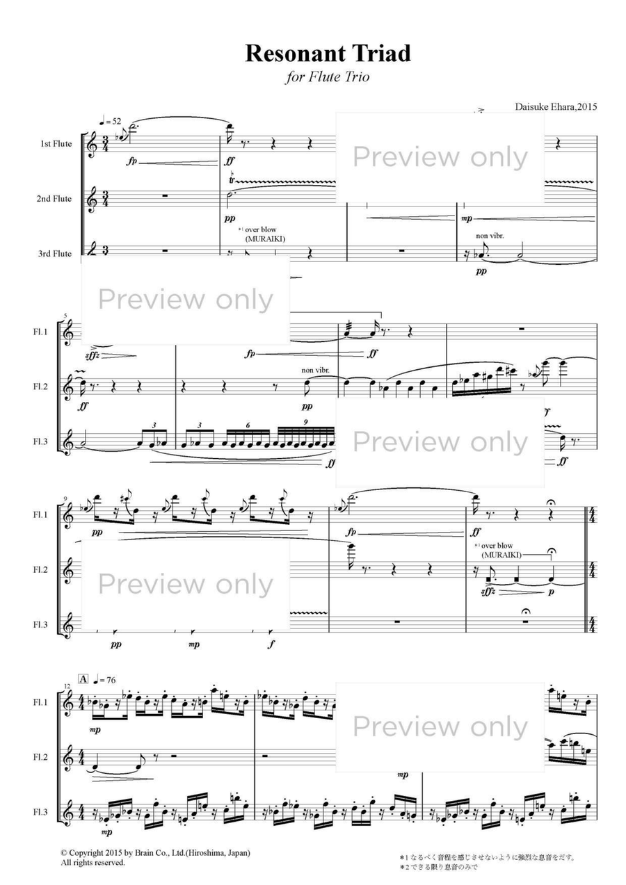 Resonant Triad - Flute Trio Flute Trio scores gallery preview page 2