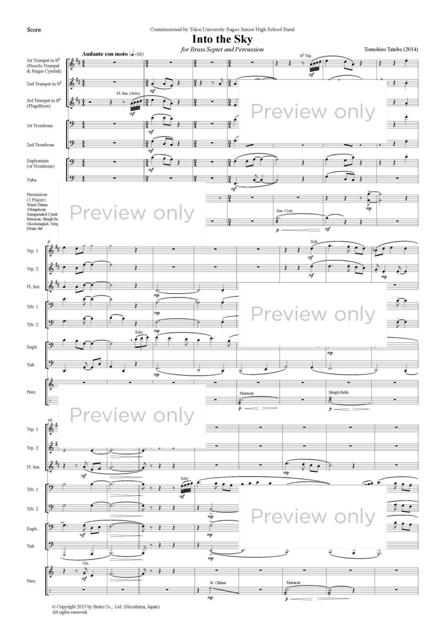 Into the Sky - Brass & Percussion Octet Chamber Music scores gallery preview page 2