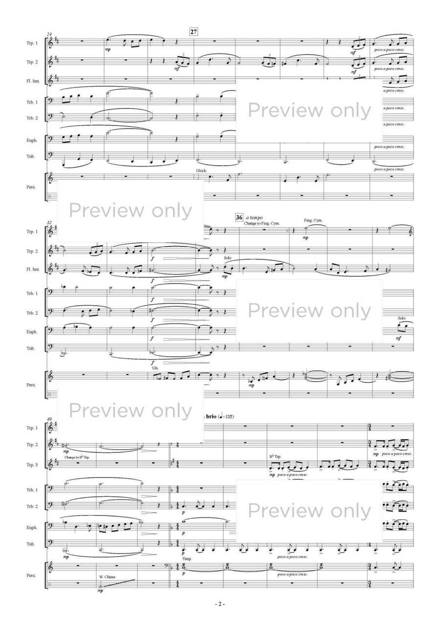 Into the Sky - Brass & Percussion Octet Chamber Music scores gallery preview page 3