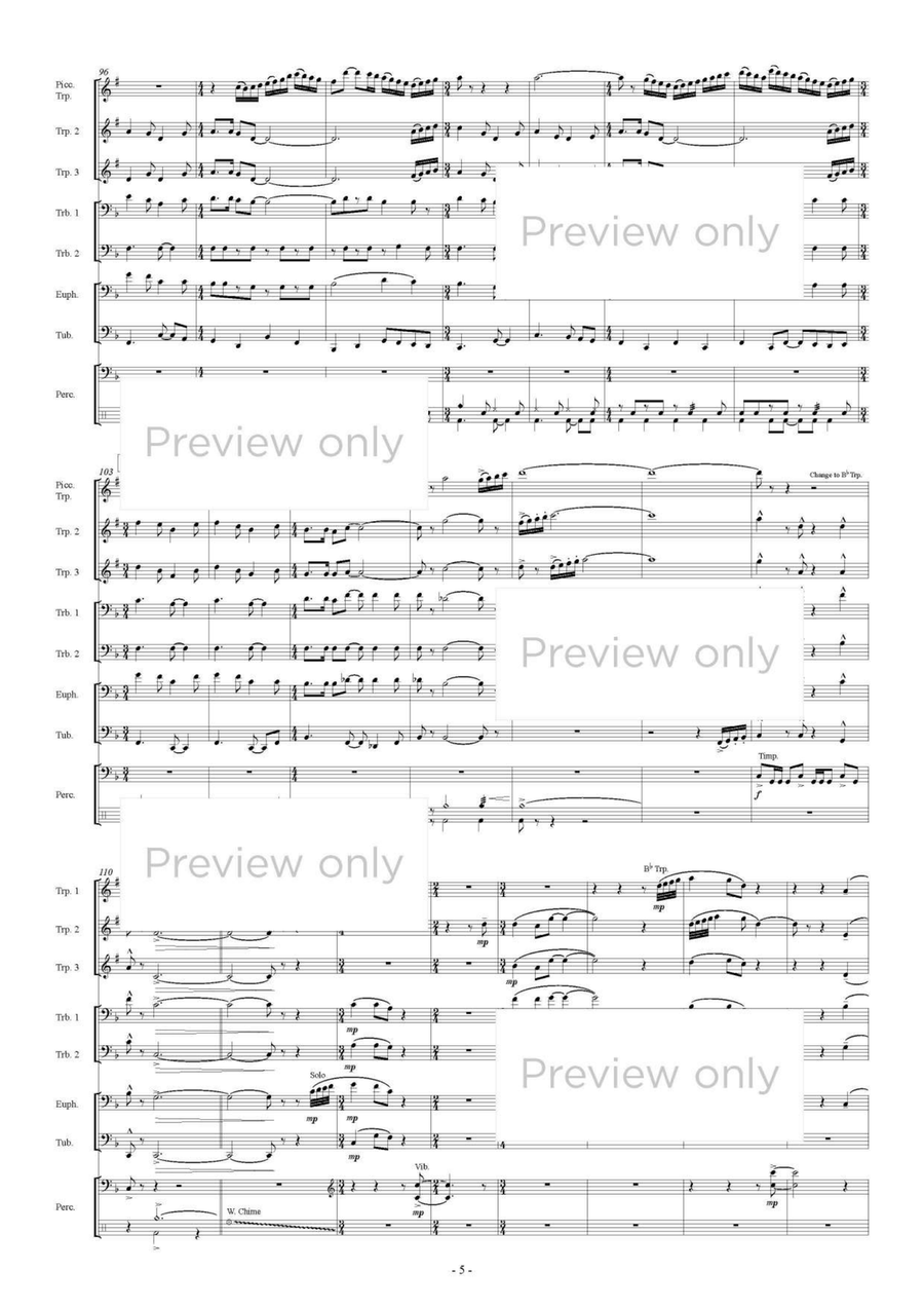 Into the Sky - Brass & Percussion Octet Chamber Music scores gallery preview page 6