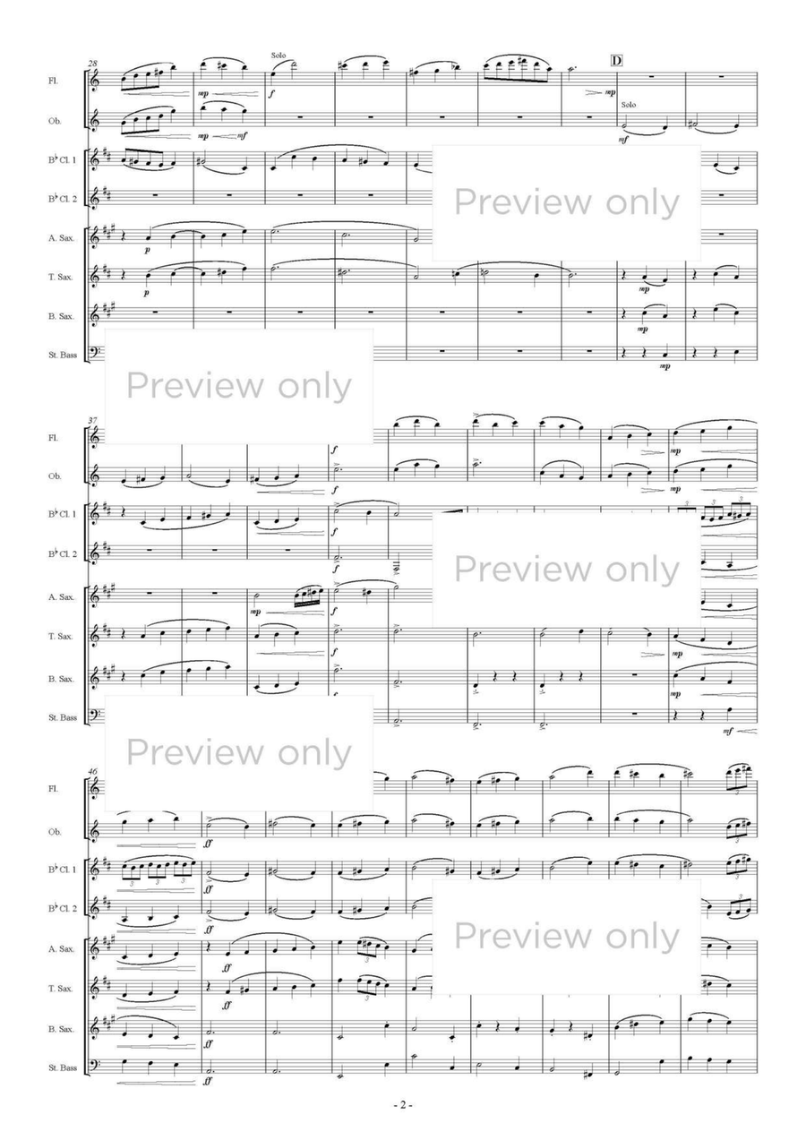 Glover's Hill - Woodwind & String Bass Octet Chamber Music scores gallery preview page 3