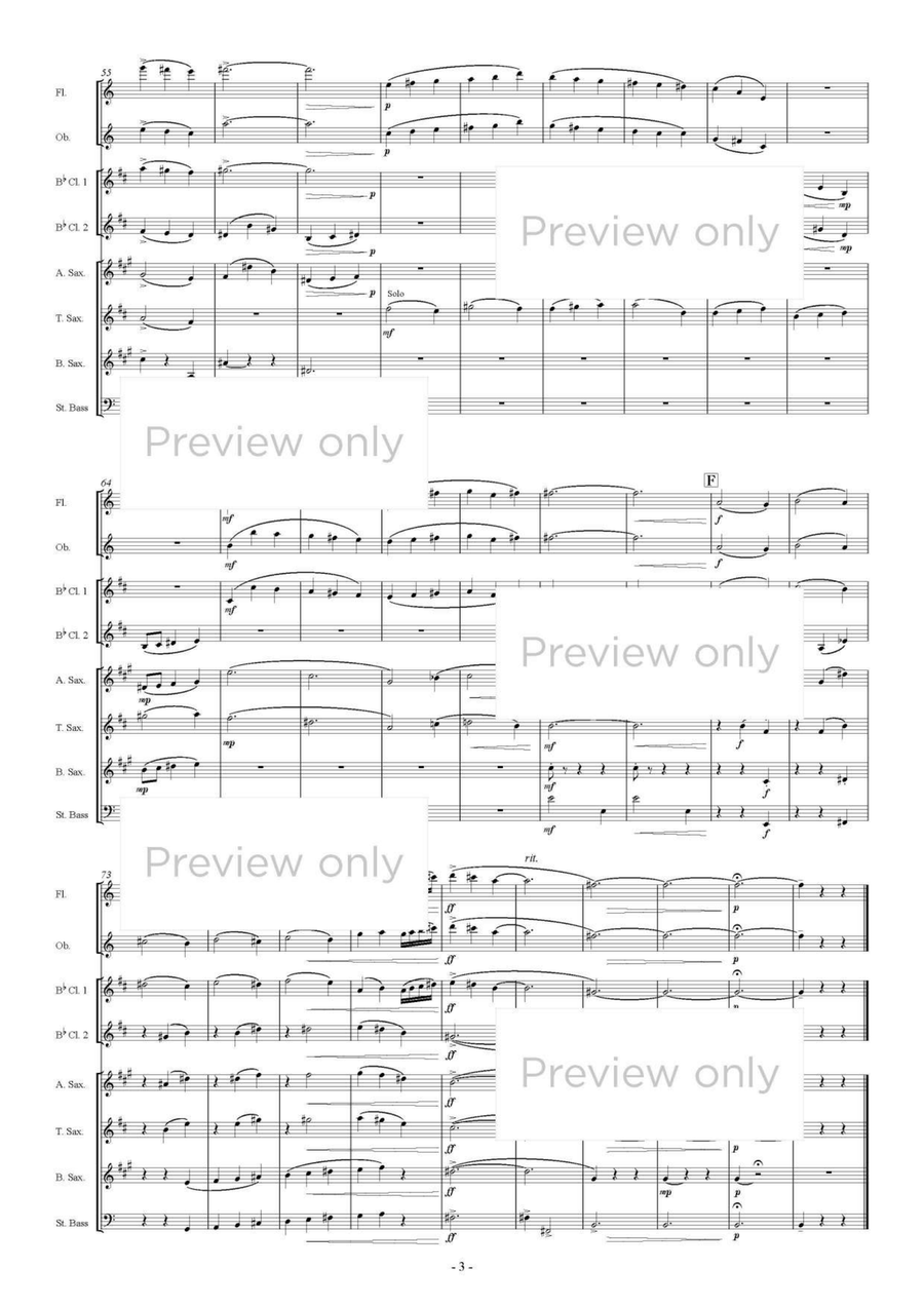 Glover's Hill - Woodwind & String Bass Octet Chamber Music scores gallery preview page 4
