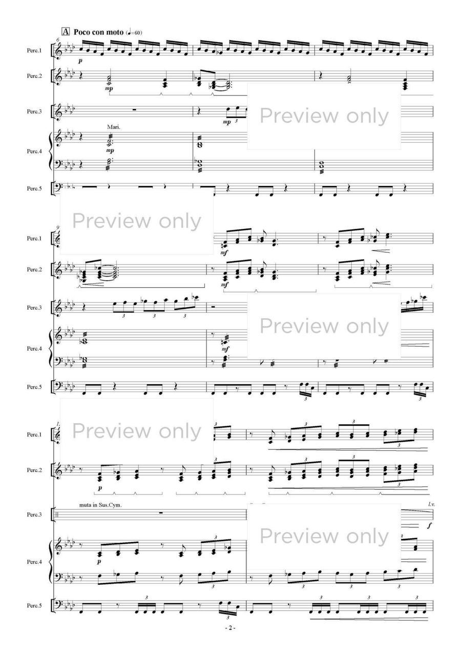 Madonna dei Fusi - Percussion Quintet Snare Drum scores gallery preview page 3