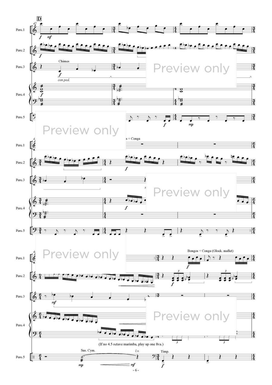 Madonna dei Fusi - Percussion Quintet Snare Drum scores gallery preview page 7