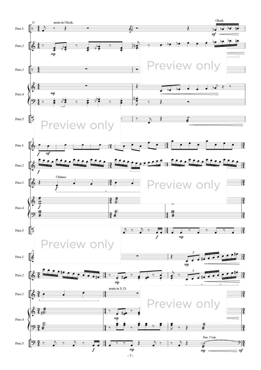 Madonna dei Fusi - Percussion Quintet Snare Drum scores gallery preview page 8