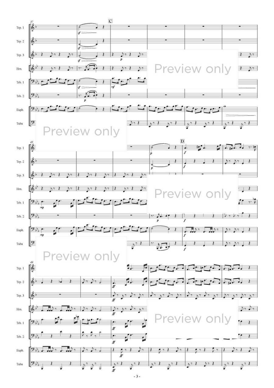 Coro dei Soldani, Di quella pira from Il trovatore - Brass Octet Euphonium scores gallery preview page 4
