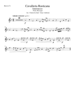 Intermezzo Cavalleria rusticana