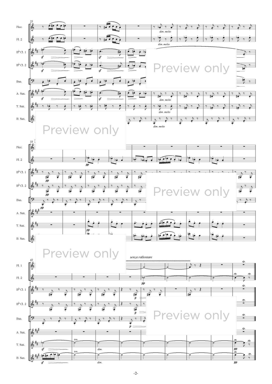 Pupazzetti - Woodwind Octet Chamber Music scores gallery preview page 3