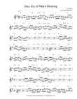 Jesu, Joy of Man's Desiring by J.S. Bach - Guitar