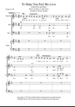 To Make You Feel My Love mini preview