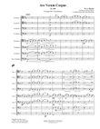 Ave Verum Corpus for 8 Trombones mini preview