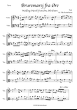 Wedding March from Øre - traditional tune from Norway, for violin and viola mini preview
