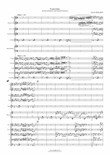 Concertino for Boomwhackers and Orchestra