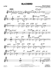 Blackbird - Guitar