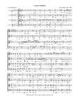 Peccavi Domine (Prenner)