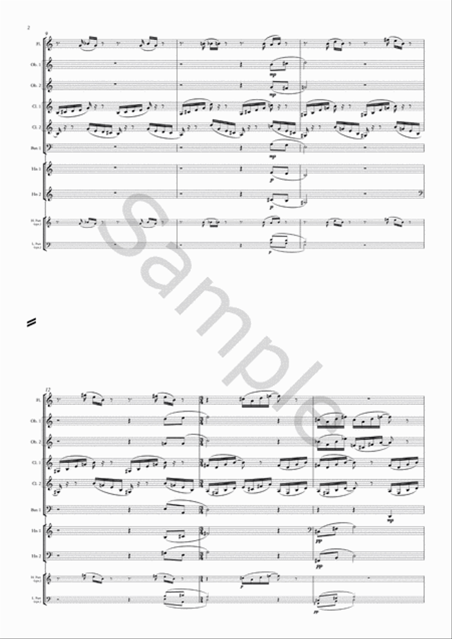 The Upside Down Sailor Chamber Music scores gallery preview page 4