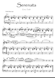 Serenata Violin Piano duet