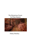 The Mysterious Forest