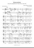 Schwesterlein, easy duet for vocal duet ST or 2-part choir a cappella, A minor