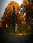 Images of Autumn