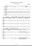 Sonata K545 - Flute quartet mini preview