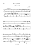 Peer Gynt Suite by Edvard Grieg - arranged for pianotrio