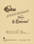 Twelve Etudes in Progressive Difficulty Op. 11
