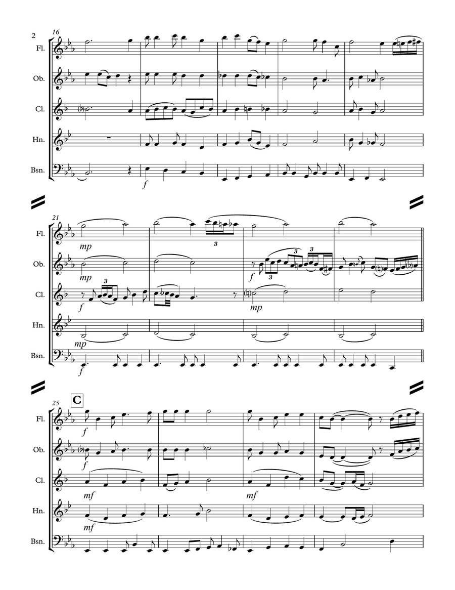 Nobody Knows the Trouble I’ve Seen (for Woodwind Quintet) Woodwind Quintet scores gallery preview page 3