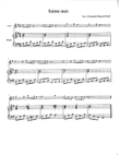 Sainte-Nuit (Silent Night)