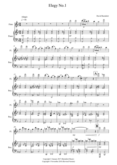 Elegy No.1 for Flute and Piano