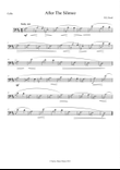 After The Silence (Bach-like solo Cello)