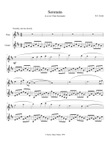 Serenata (Lovers' Flute Serenade) for flute and guitar