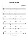 Harvest Moon - Play Along!