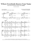 Where Everybody Knows Your Name Theme from the Paramount Television Series CHEERS