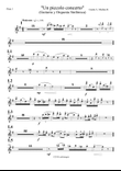 Un Piccolo Concerto