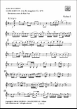 Concerto N. 2 In Re Magg. G.479