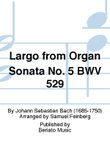 Largo from Organ Sonata No. 5 BWV 529