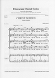 Christ Is Risen