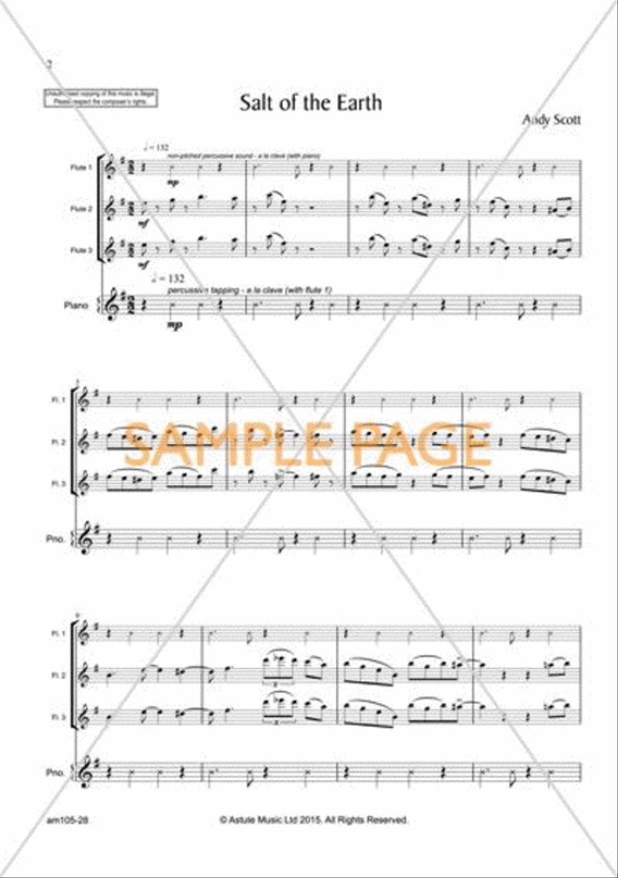 Salt of the Earth - Flute scores gallery preview page 2