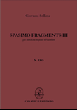 Spasimo Fragments III