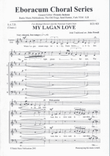 My Lagan Love